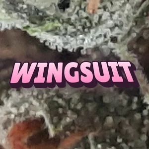 Wingsuit Cannabis Strain