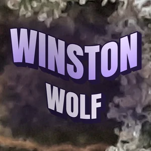 Winston Wolf Cannabis Strain