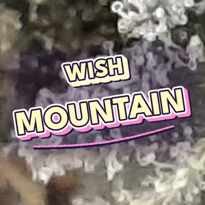 Wish Mountain Cannabis Strain