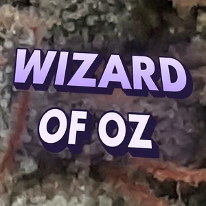 Wizard of Oz Cannabis Strain