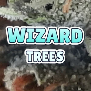 Wizard Trees Cannabis Strain