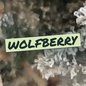 Wolfberry Cannabis Strain