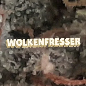 Wolkenfresser Cannabis Strain