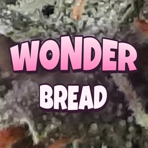 Wonder Bread Cannabis Strain