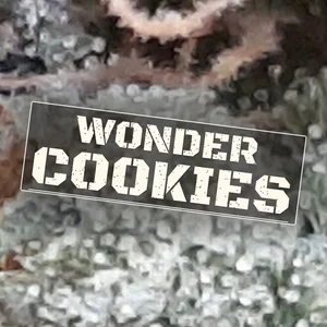 Wonder Cookies Cannabis Strain