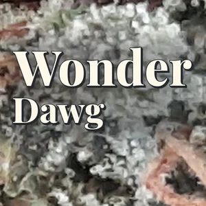 Wonder Dawg Cannabis Strain