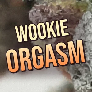 Wookie Orgasm Cannabis Strain