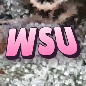 WSU Cannabis Strain