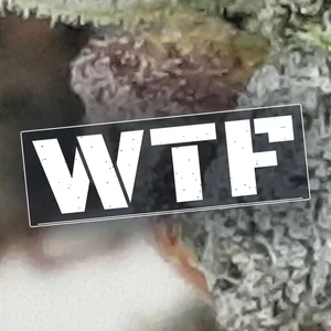 WTF Cannabis Strain