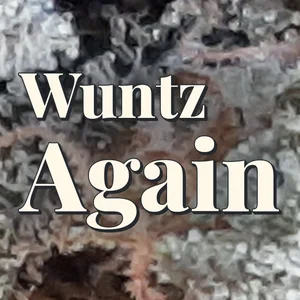Wuntz Again Cannabis Strain