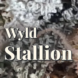 Wyld Stallion Cannabis Strain