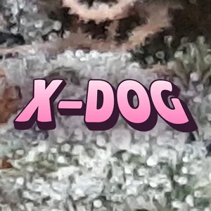 X-Dog Cannabis Strain
