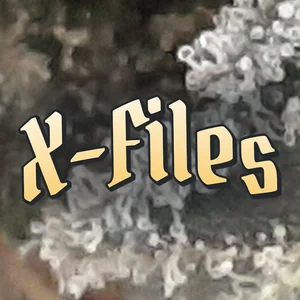 X-Files Cannabis Strain