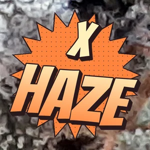 X Haze Cannabis Strain