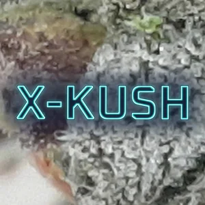 X-Kush Cannabis Strain