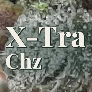X-Tra Chz Cannabis Strain