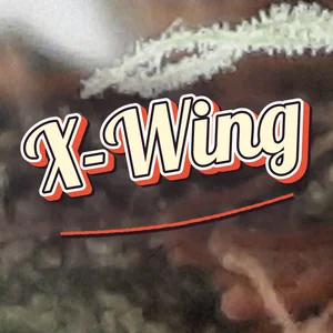 X-Wing Cannabis Strain