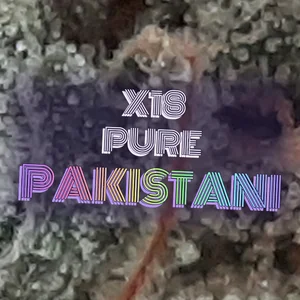 X18 Pure Pakistani Cannabis Strain