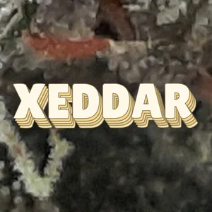 Xeddar Cannabis Strain