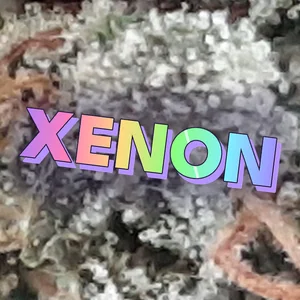 Xenon Cannabis Strain