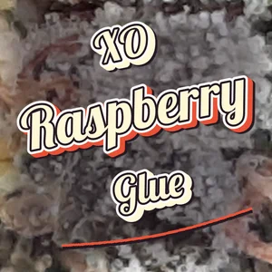 XO Raspberry Glue Cannabis Strain