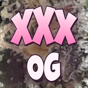 XXX OG Cannabis Strain