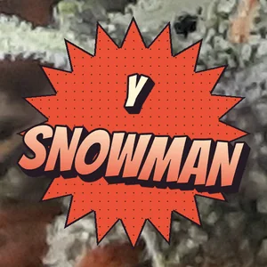 Y Snowman Cannabis Strain