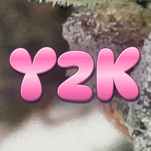 Y2K Cannabis Strain