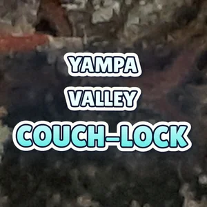 Yampa Valley Couch-Lock Cannabis Strain