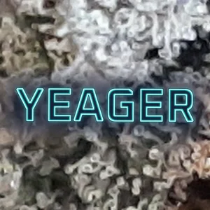 Yeager Cannabis Strain