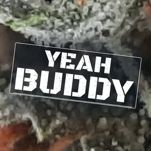 Yeah Buddy Cannabis Strain
