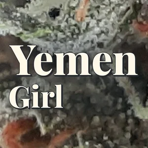 Yemen Girl Cannabis Strain