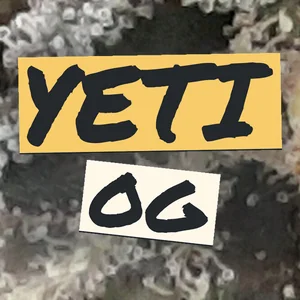 Yeti OG Cannabis Strain