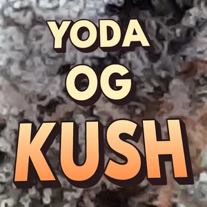 Yoda OG Kush Cannabis Strain