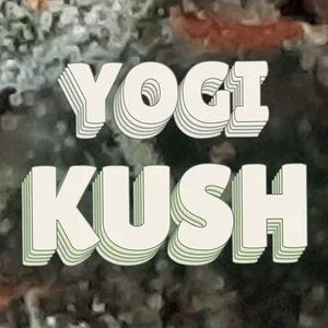 Yogi Kush Cannabis Strain
