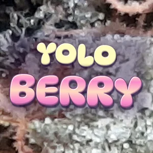 Yolo Berry Cannabis Strain
