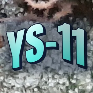 YS-11 Cannabis Strain