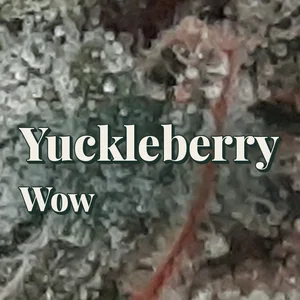 Yuckleberry Wow Cannabis Strain