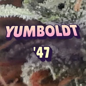 Yumboldt '47 Cannabis Strain
