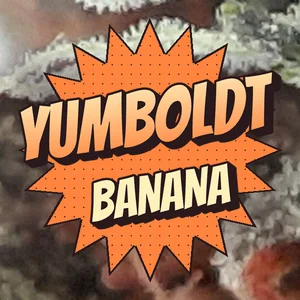 Yumboldt Banana Cannabis Strain
