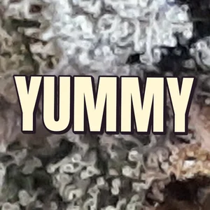 Yummy Cannabis Strain