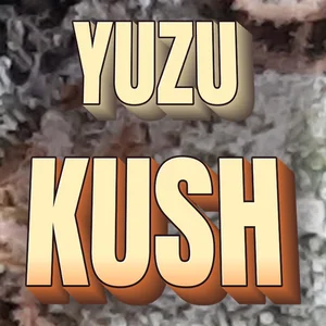 Yuzu Kush Cannabis Strain