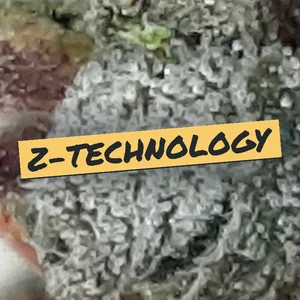 Z-Technology Cannabis Strain
