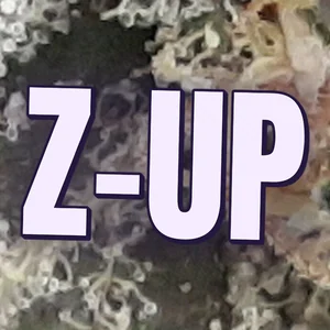 Z-Up Cannabis Strain