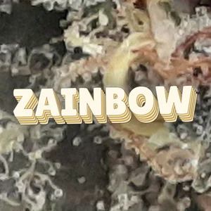 Zainbow Cannabis Strain