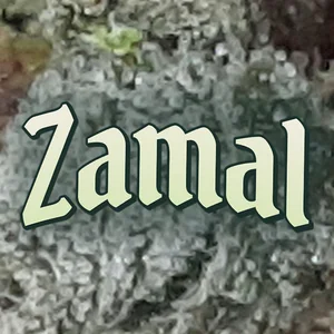 Zamal Cannabis Strain