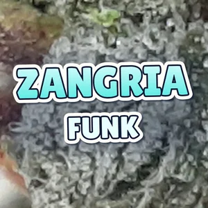 Zangria Funk Cannabis Strain