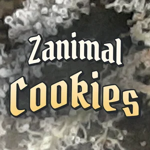Zanimal Cookies Cannabis Strain