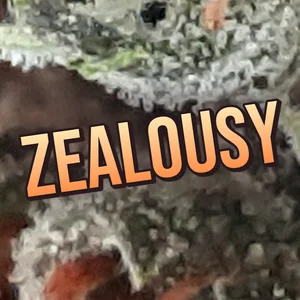 Zealousy Cannabis Strain