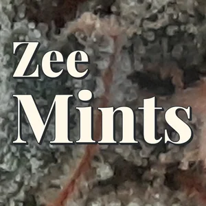 Zee Mints Cannabis Strain